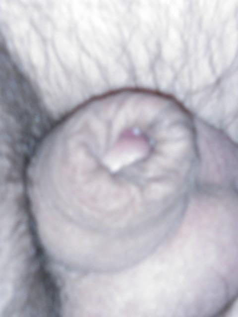 Photo of a bat from yardog319