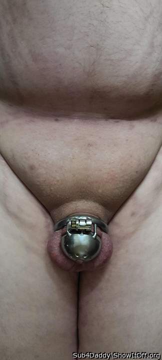 Photo of a wiener from Sub4Daddy
