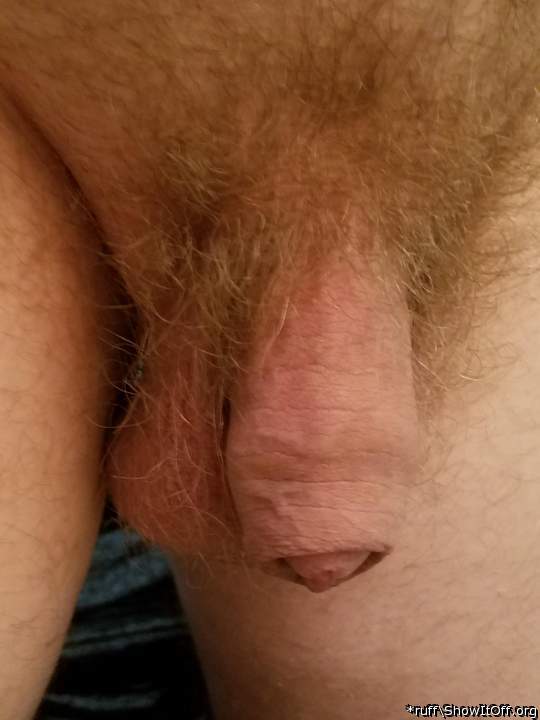 Mmmm that cock needa my tounge and mouth  and nice bush!