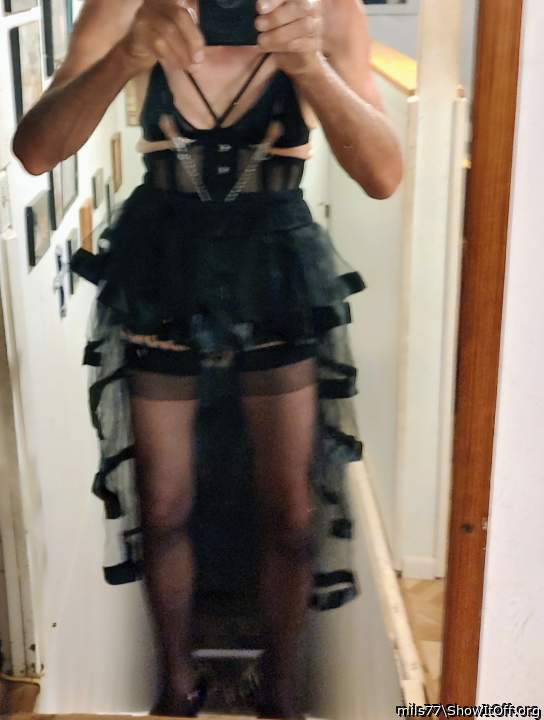 Photo of a weasel from mils77