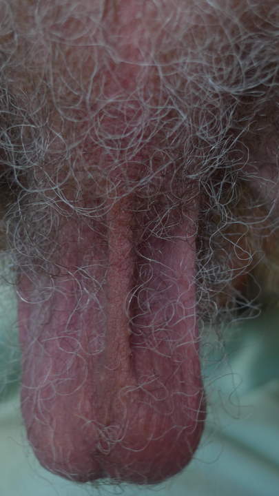 Nice hairy hanging balls 