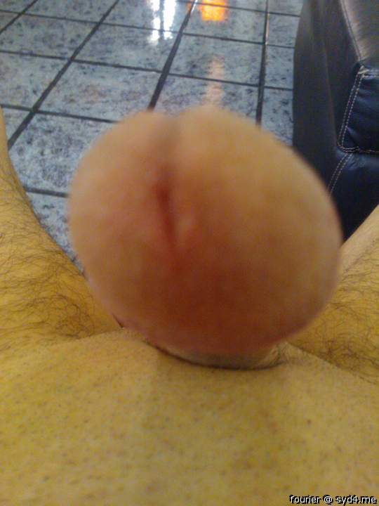 Photo of a third leg from fourier