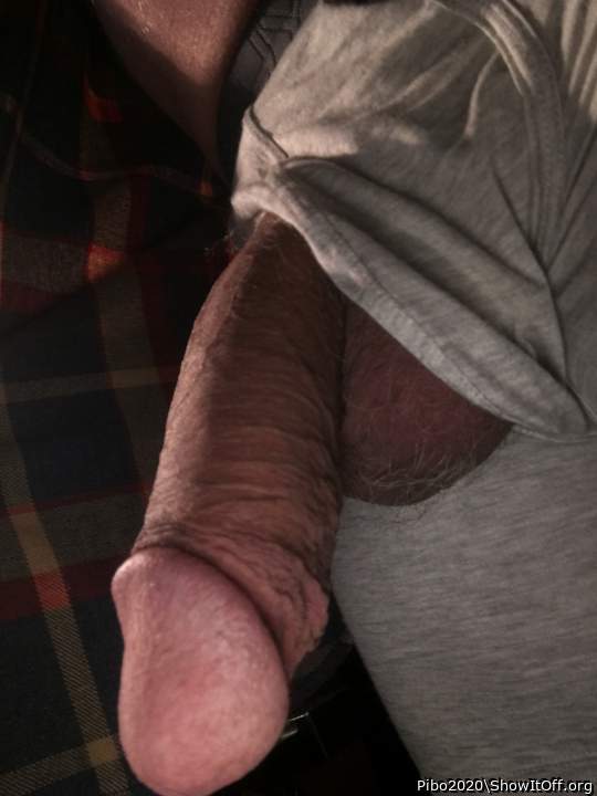 Photo of a dick from Pibo2020