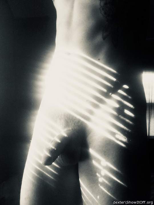 Photo of a schlong from Dexter