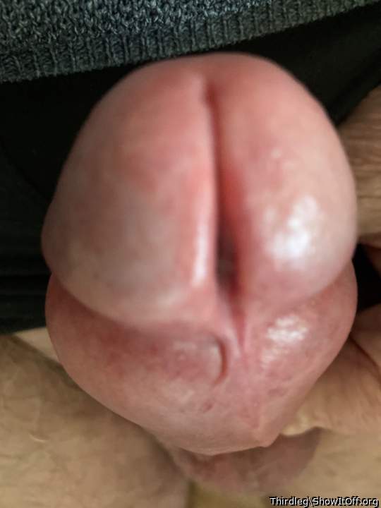 Photo of a snake from Thirdleg