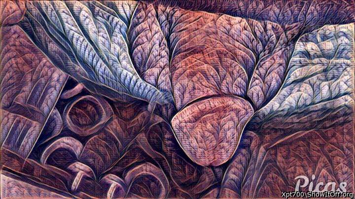 Photo of a middle leg from Drippythemushroom