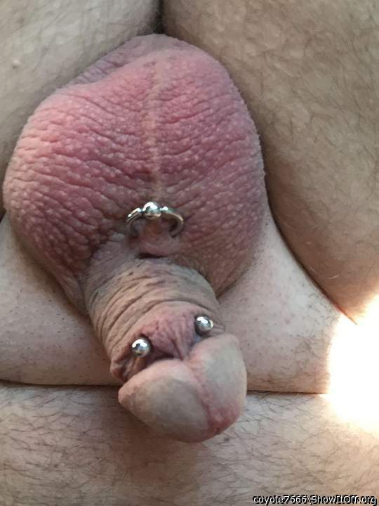 Photo of a short leg from coyote7666