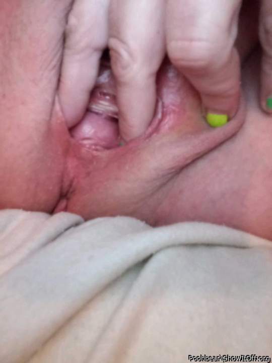 Photo of a snake from Poohbear