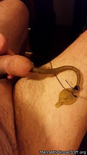 rubber worm