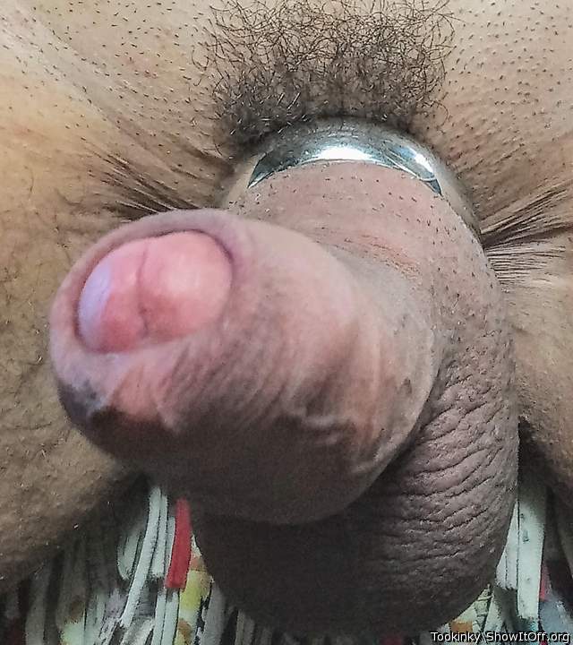 Photo of a stiffie from Tookinky
