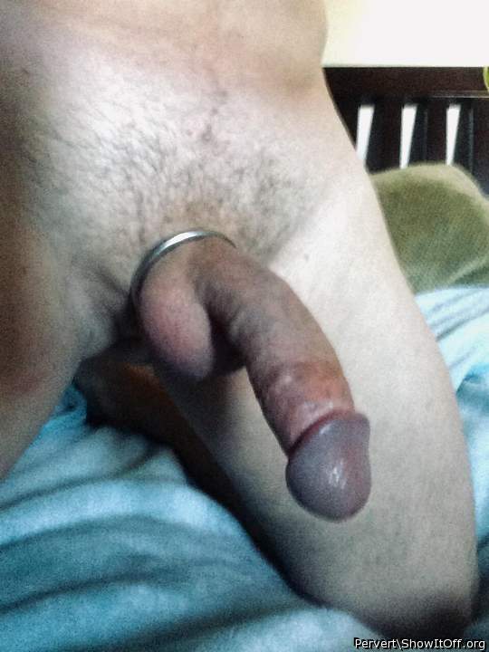 Photo of a lizard from Pervert