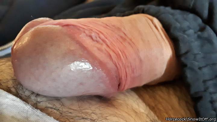 Photo of a dick from massivecock