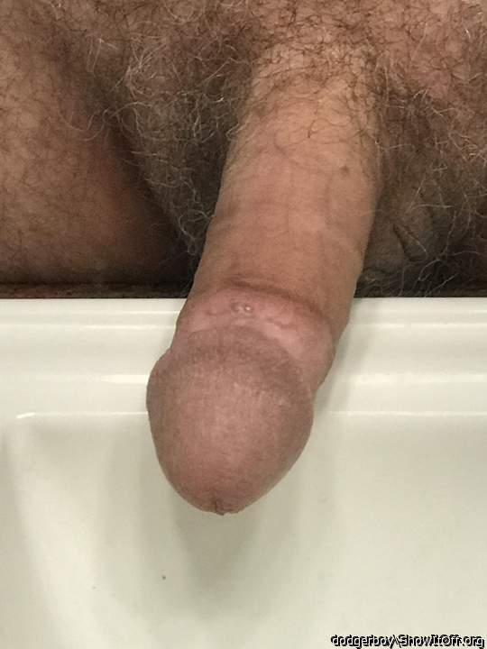Photo of a middle leg from dodgerboy