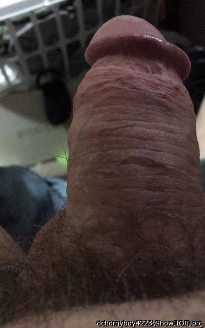 Photo of a sausage from dchornyboy4223