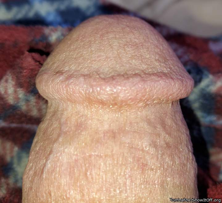 Great closeup !