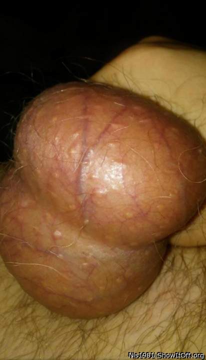 My cum filled balls.