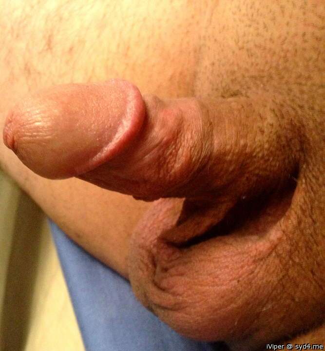 semi erected small cock