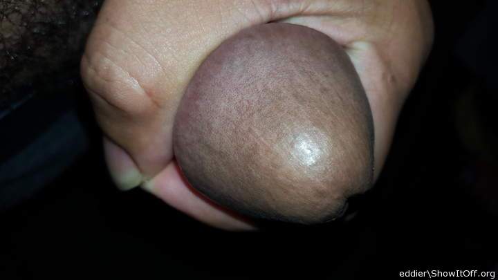 Photo of a schlong from eddier