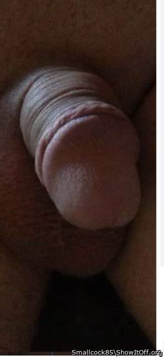 Photo of a pecker from Smallcock85