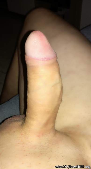 Photo of a horn from mine15
