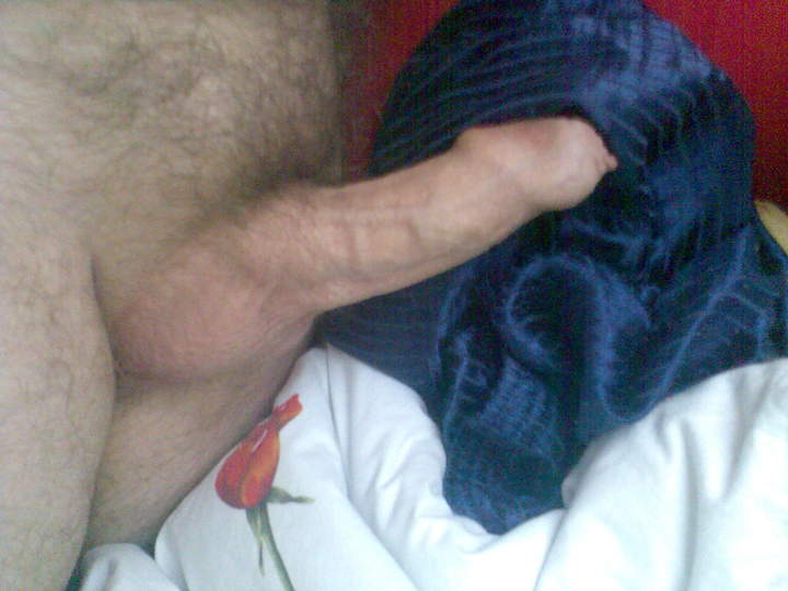 bed dreams