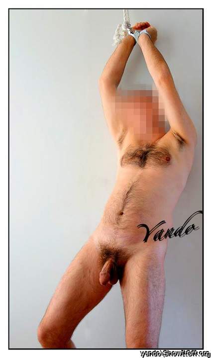 Yando783