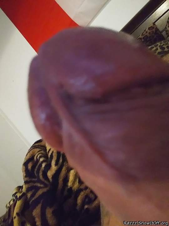 AWESOME KNOBHEAD CLOSE-UP    