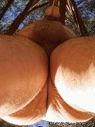 Photo of a third leg from M*C*S