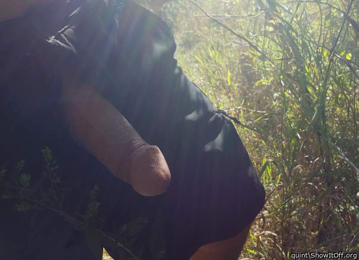 Photo of a snake from quint