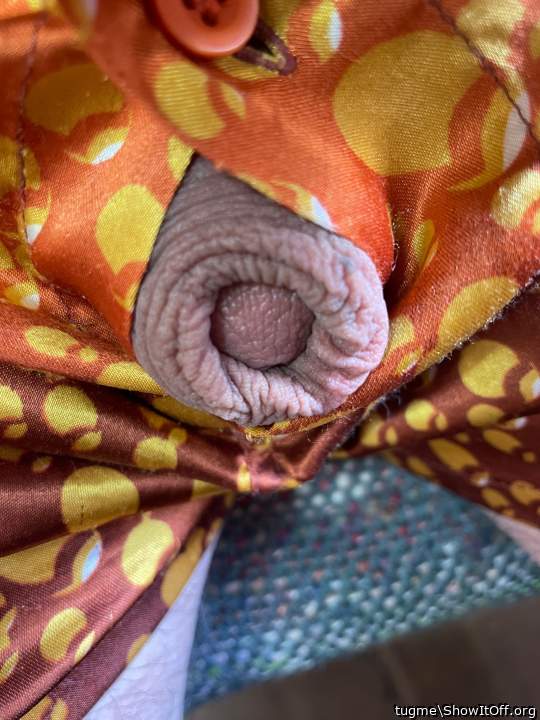 Photo of a python from tugme