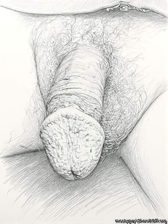 Nice sketch of you limp cock showing your cut cock head 
