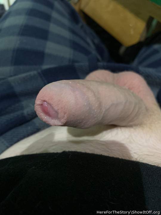 Photo of a stiffie from HereForTheStory