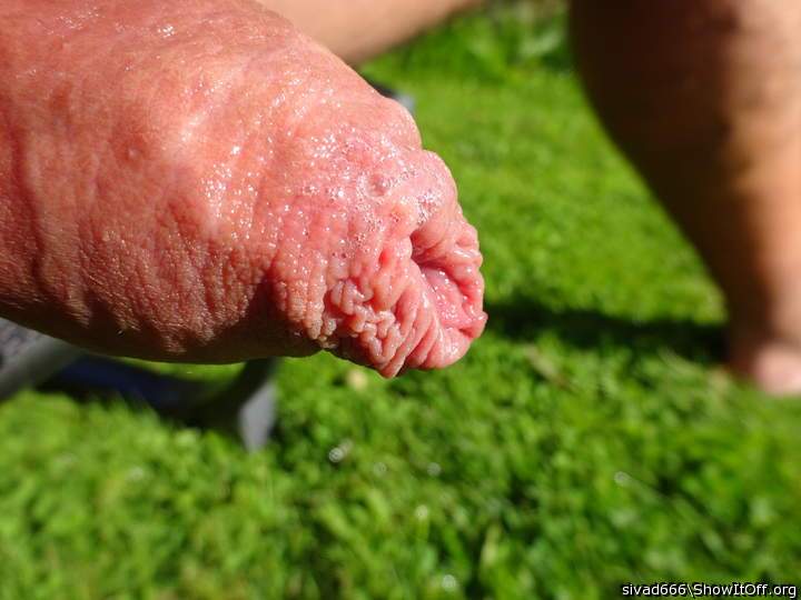 Photo of a phallus from sivad666