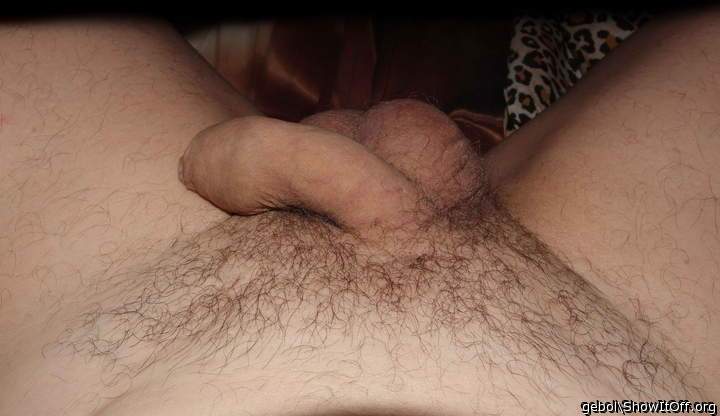 Photo of a private part from gebol