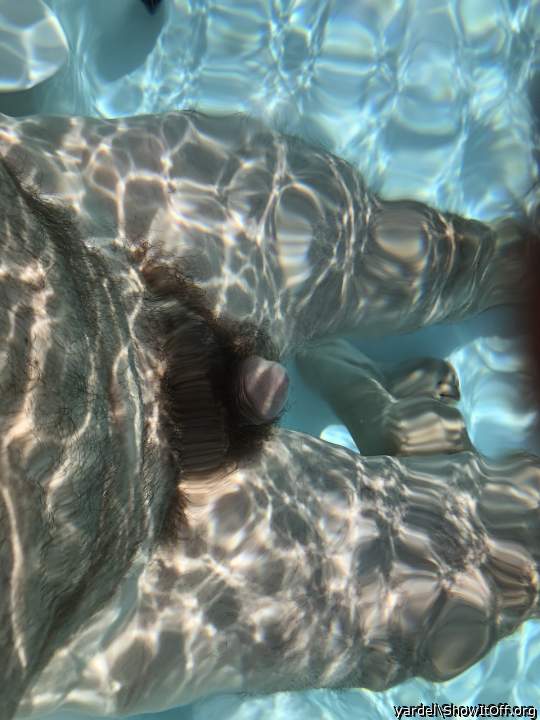 hairy little diver