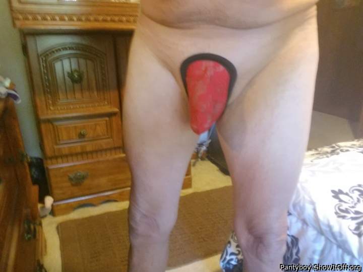 Photo of a horn from Pantyboy