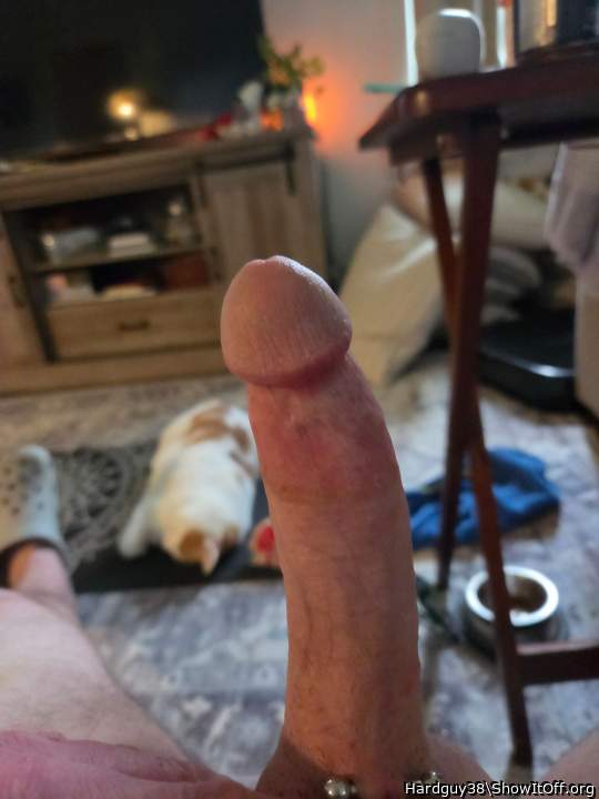 What an amazing hot thick cock 