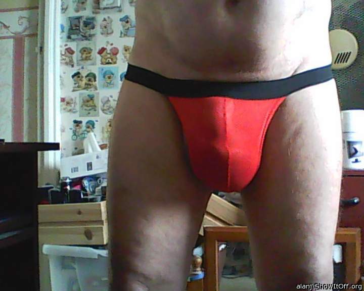 Photo of a middle leg from alanj