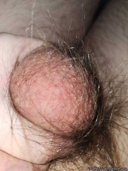 Photo of a thing from Chief8277