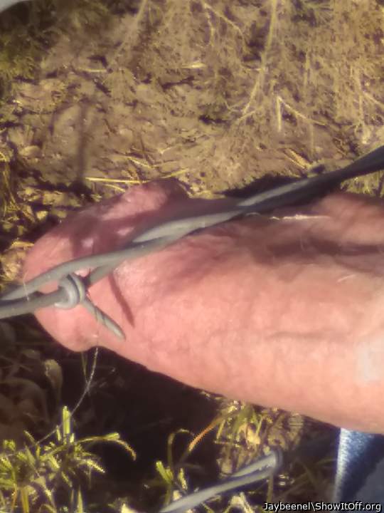 Photo of a penile from Jaybeenel