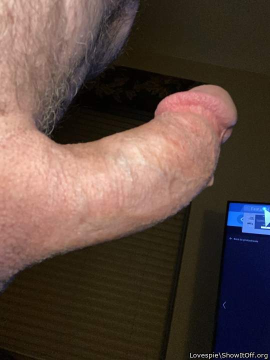 Photo of a hot dog from Lovespie
