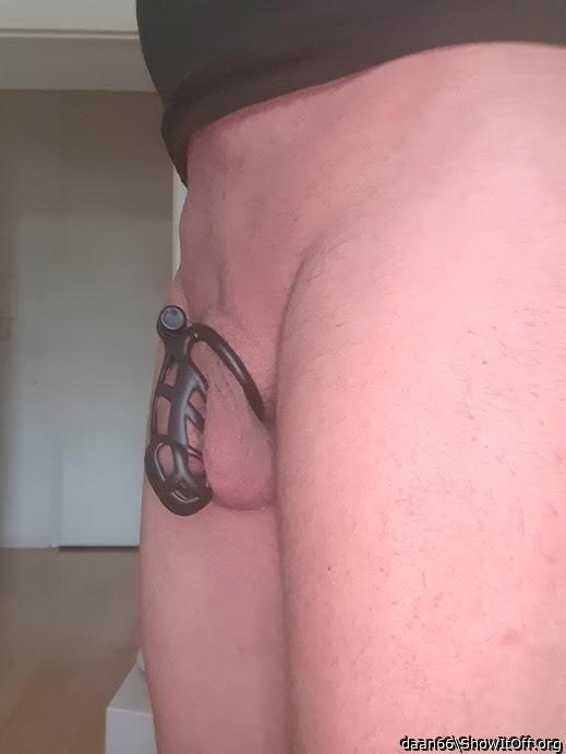Photo of a ram rod from daan66