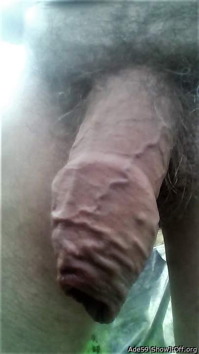 super exciting penis veins