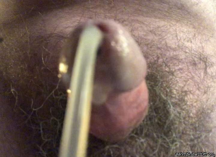 Photo of a member from Arinn