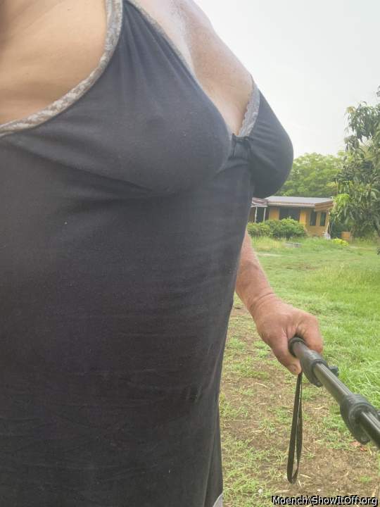 Photo of a private part from Moench