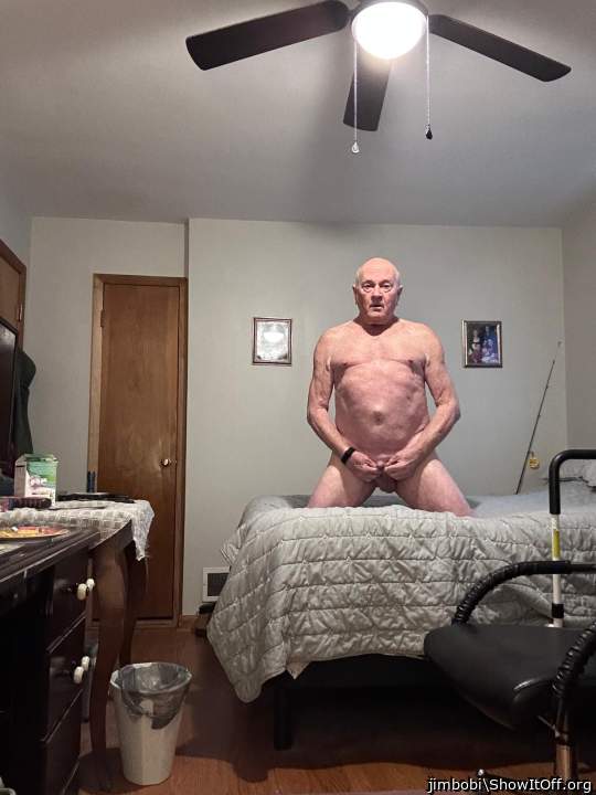 Photo of a weasel from jimbobi