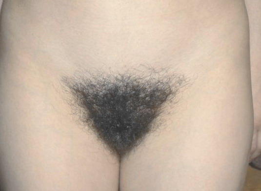 wife's pussy