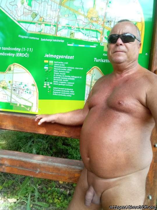 Public park forest