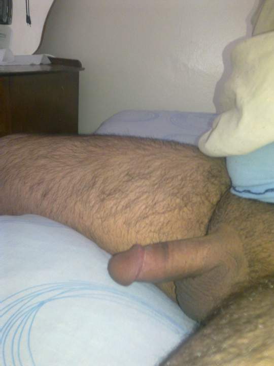 Photo of a rooster from Sexbomb