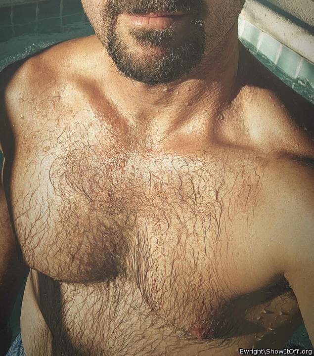 Nice looking papa bear.